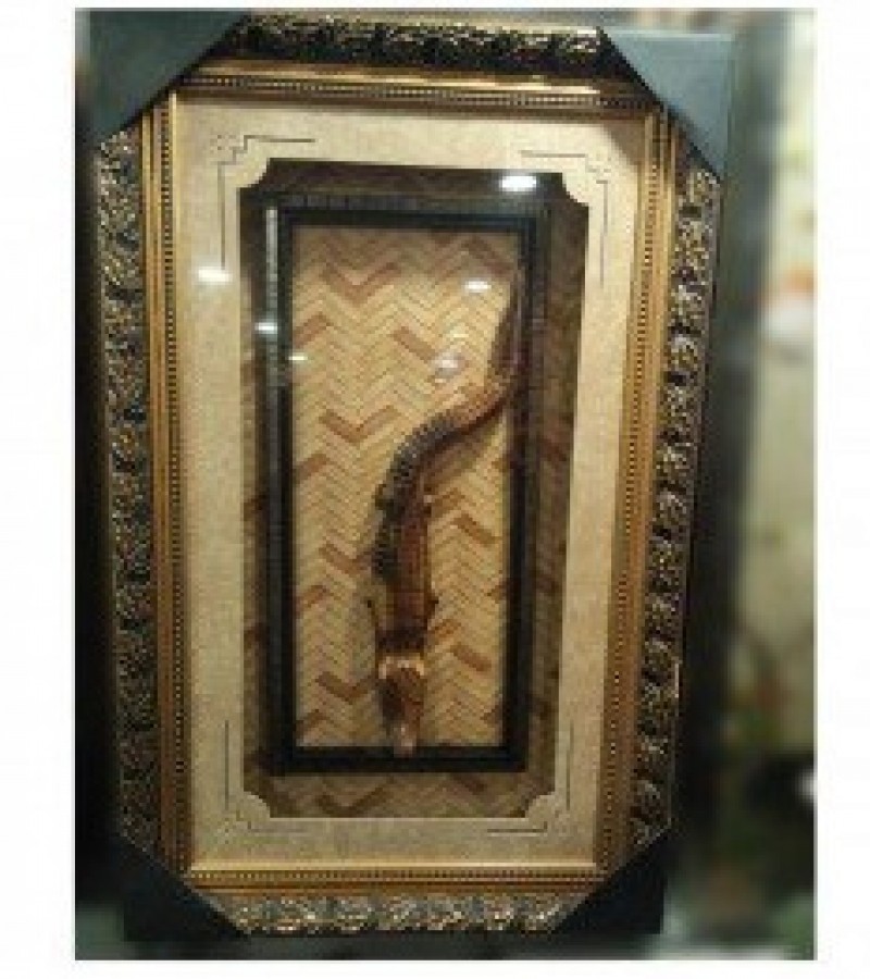 Beautiful Canvas Frame For Paintings & Pictures