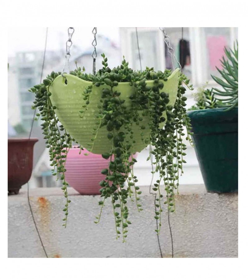 Pack of 8 Hanging Pot Garden Flower Plant Planters Decoration Hanging Basket