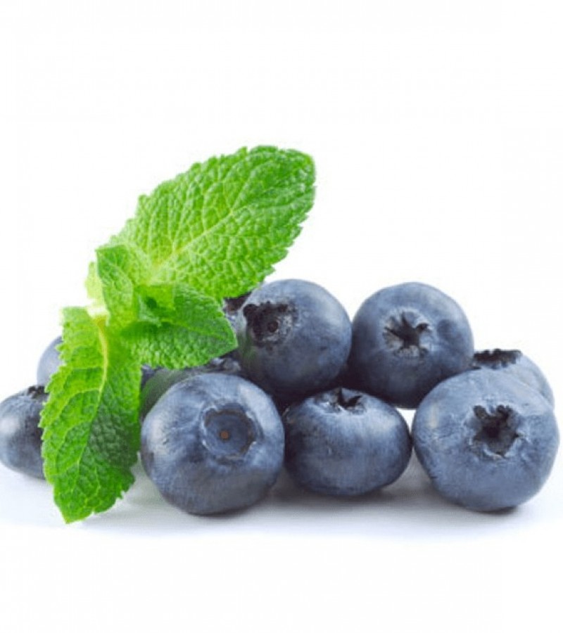 Al Fakher Blueberry With Mint Flavor 50gms Pack