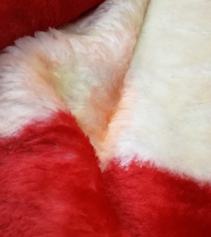 2 in 1 Blanket