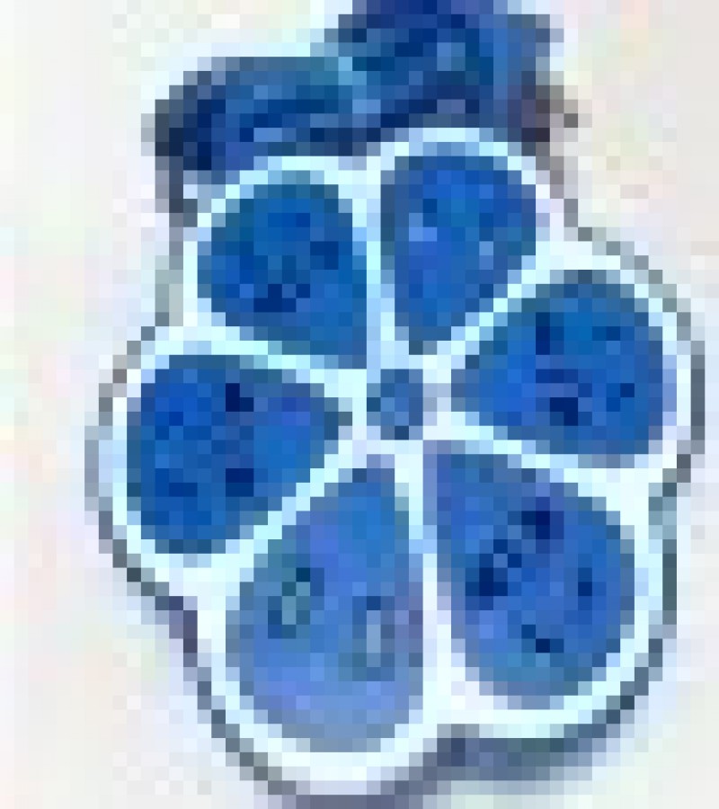 Intelligent Petal Shape Socket