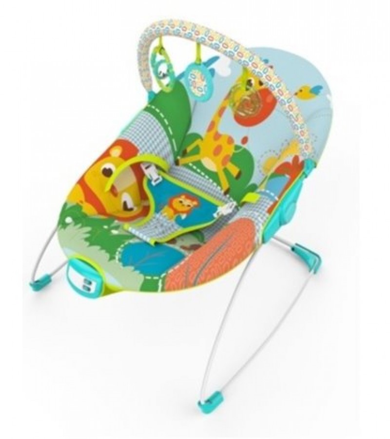 Baby Music & Soothe Bouncer