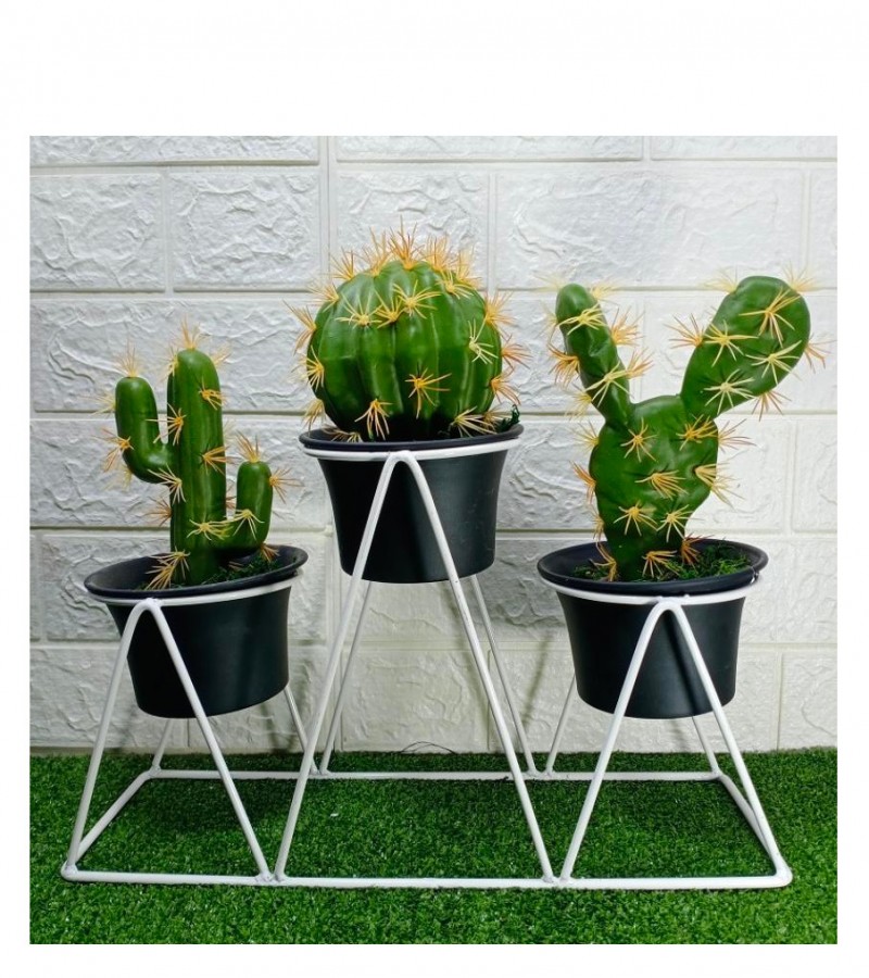 Beautiful Iron Stand With Cactus Plant Decorate Your Home Your Garden With Beautiful Plants