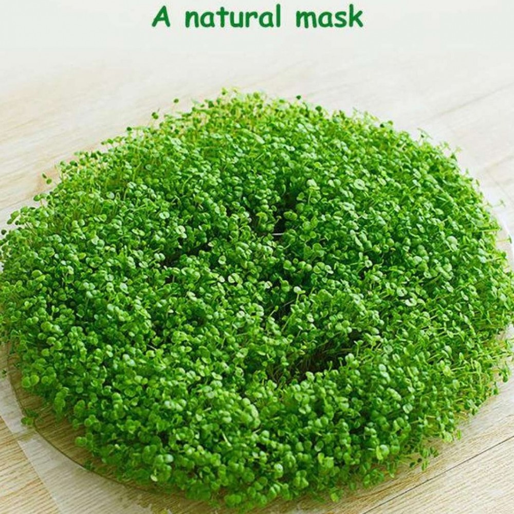 Compressed Face Mask Paper - Disposable Facial Masks Papers - Natural Skin Care Wrapped Masks - 5 PC