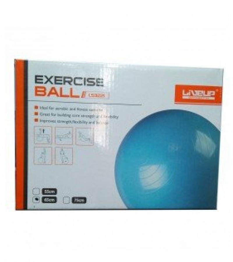 Exercise Ball For Weight Loss - 65CM