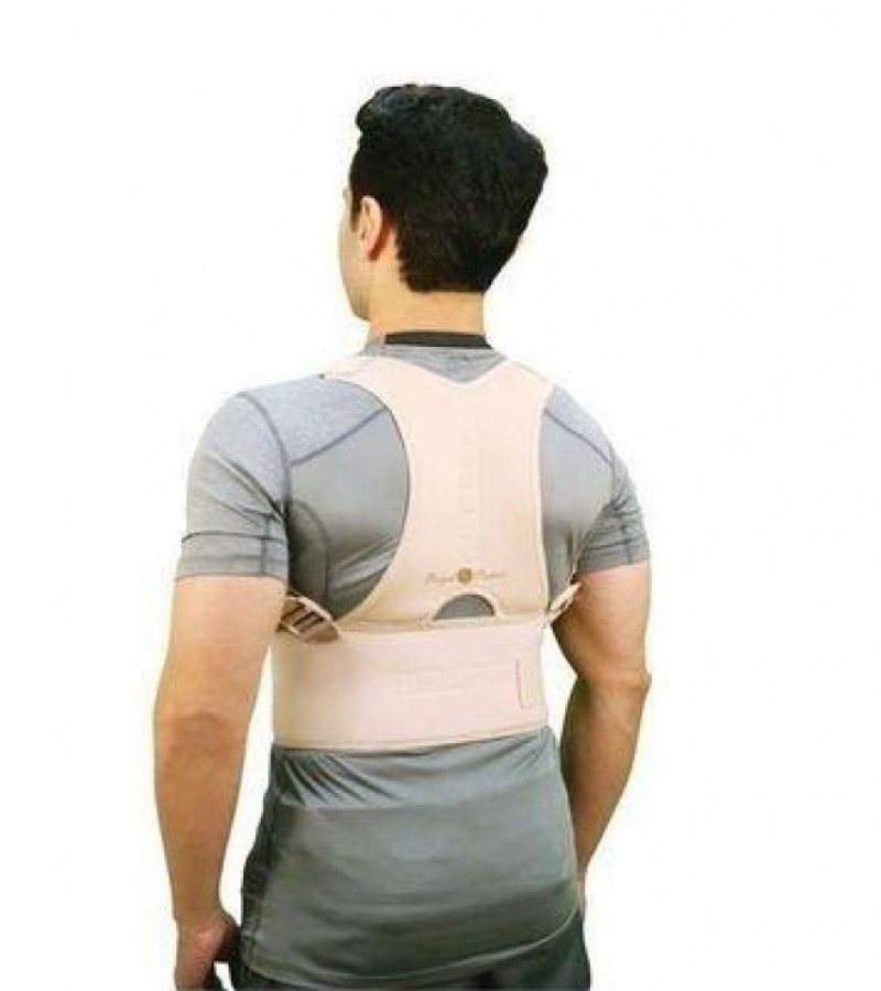 Royal Posture Support Belt