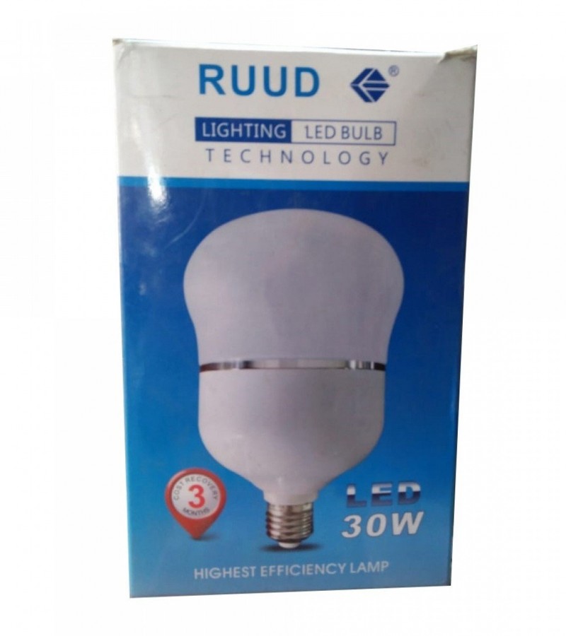 RUUD Lighting LED Bulb - 30 Watt - 3 Months Cost Recovery