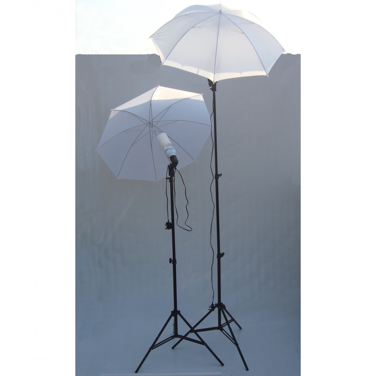 Umbrella continuous Lights setup pair for photography and video shooting