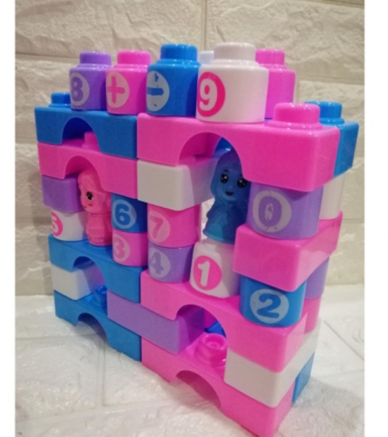 Educational Purple & Pink Building Blocks for Kids 30 Pcs large Size