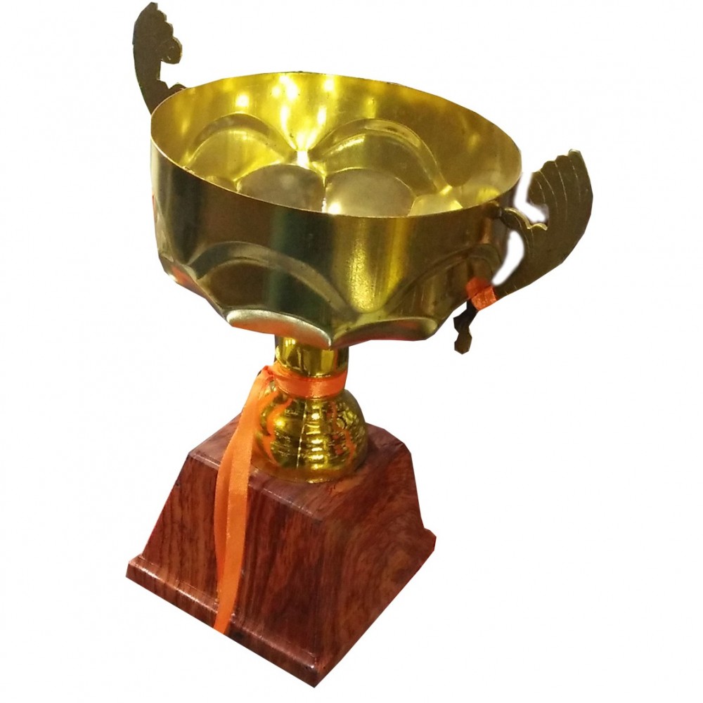 Gold Themed Trophy Cup With Wooden Base