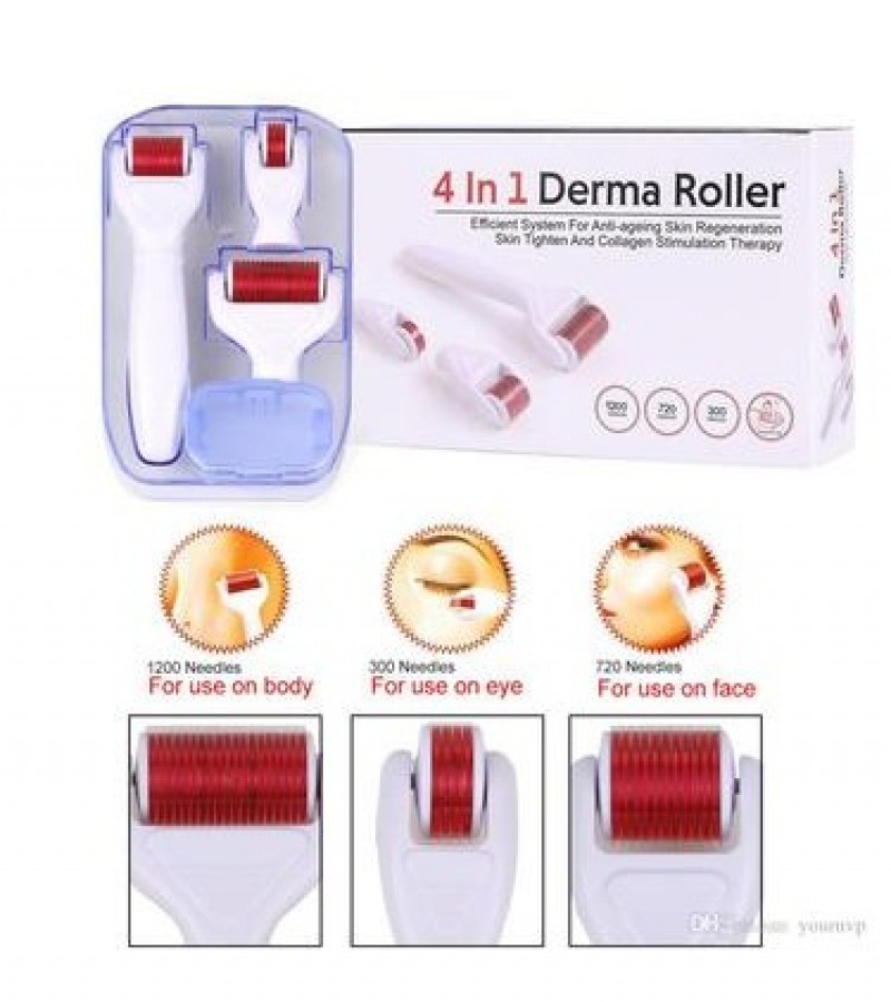 4 IN 1 MESO ROLLER-DERMA ROLLER KIT