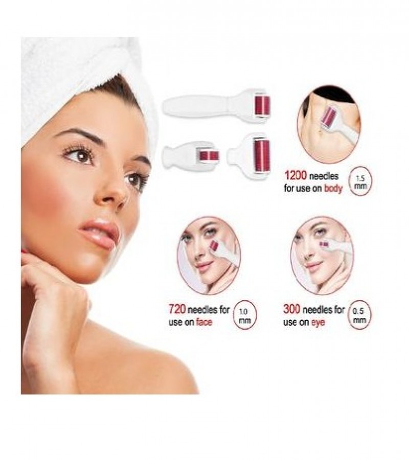 4 IN 1 MESO ROLLER-DERMA ROLLER KIT