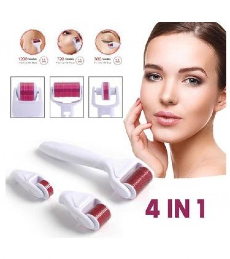 4 IN 1 MESO ROLLER-DERMA ROLLER KIT