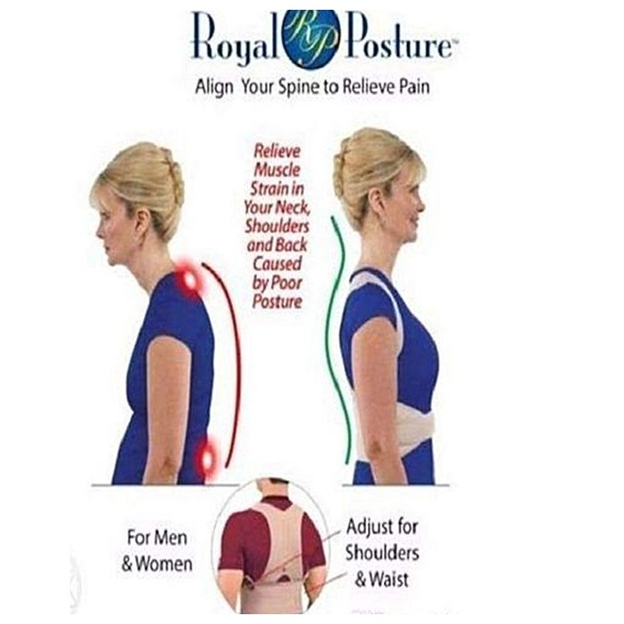 Polyester Posture Support Belt - Back Support Belt