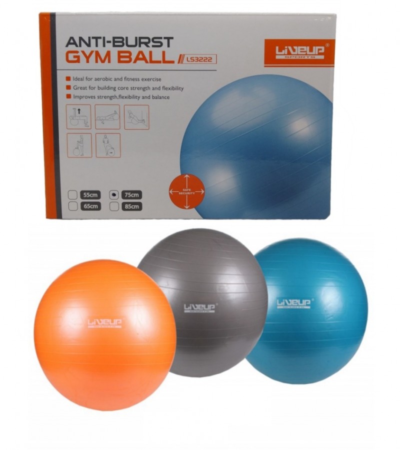 Live Up Anti Burst Gym Ball Ball Size 65cm - Multi