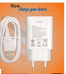 Vivo Y20 Vivo Ka Charger Price Original Vivo Dual Engine Fast
