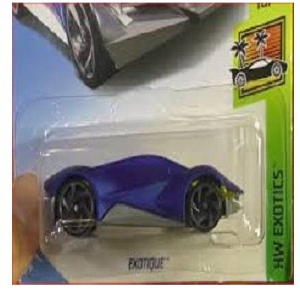 Hot Wheels Exotique 50TH Anniversary Edition HW Exotics Toy Car