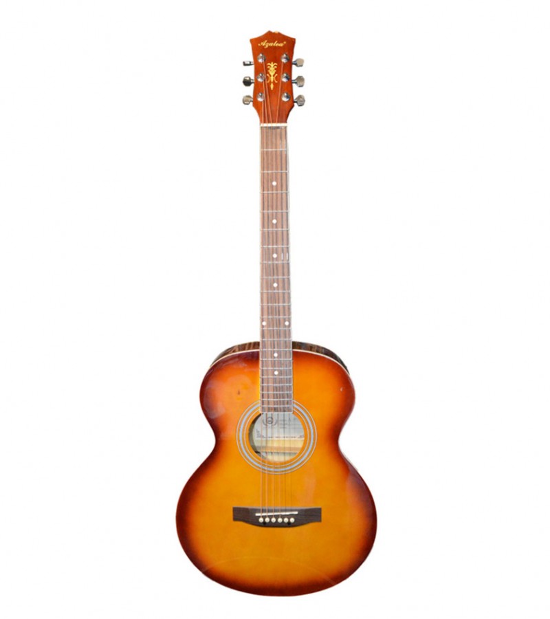 Semi Costic Guitar