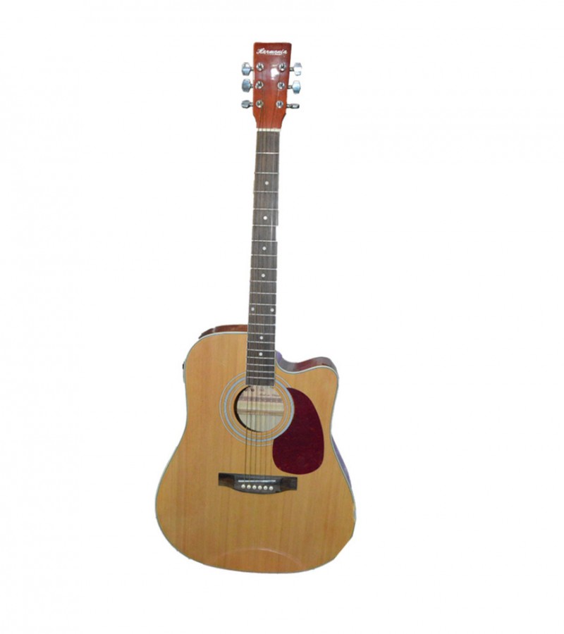 Unique Semi Costic Guitar