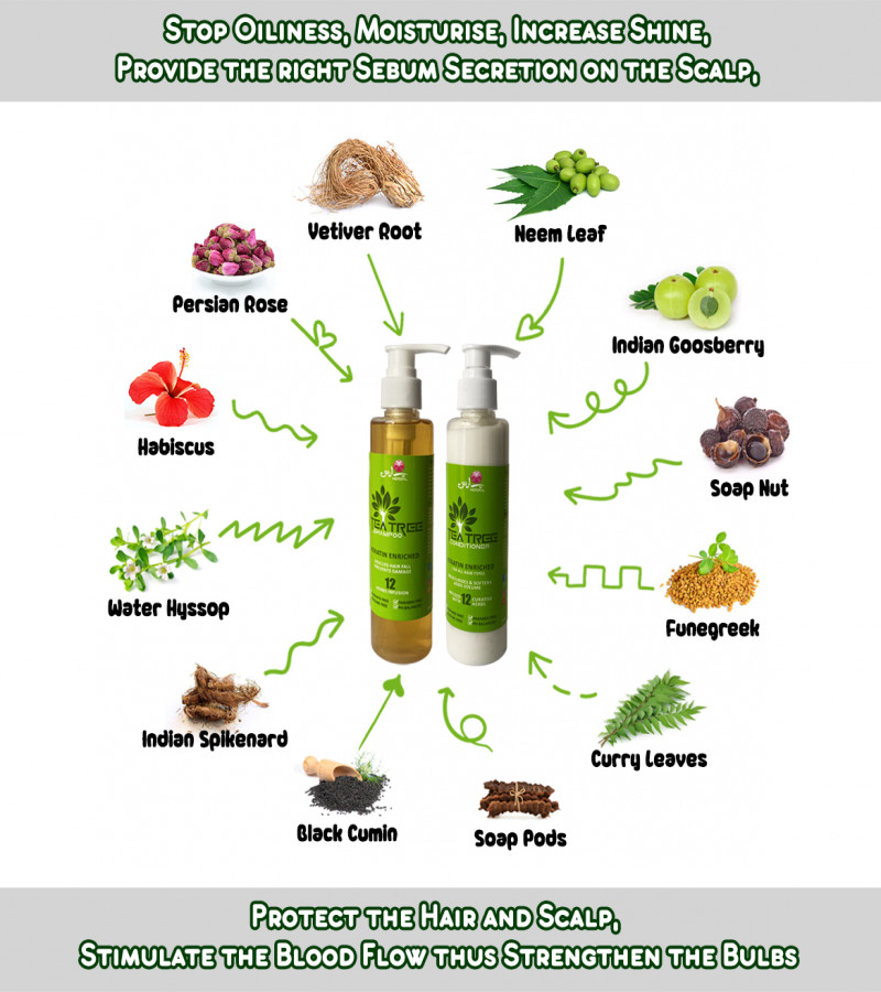 Tea Tree Hair Shampoo + Conditioner - Paras Herbal - Combo Pack - Shampoo & Conditioner