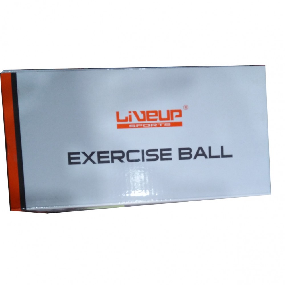 Exercise Ball For Weight Loss - 65CM