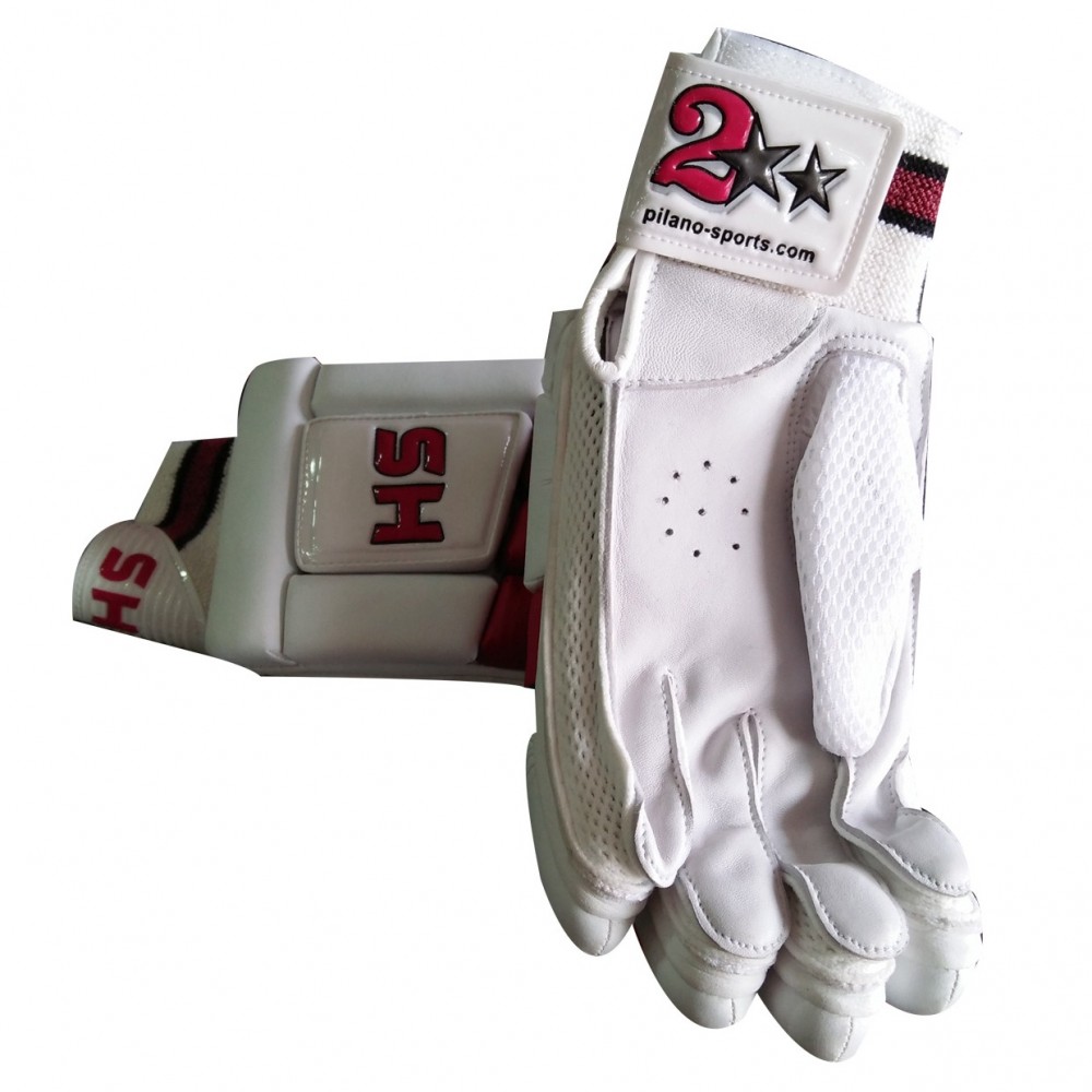 HS 2 Star Gloves For Cricket - White
