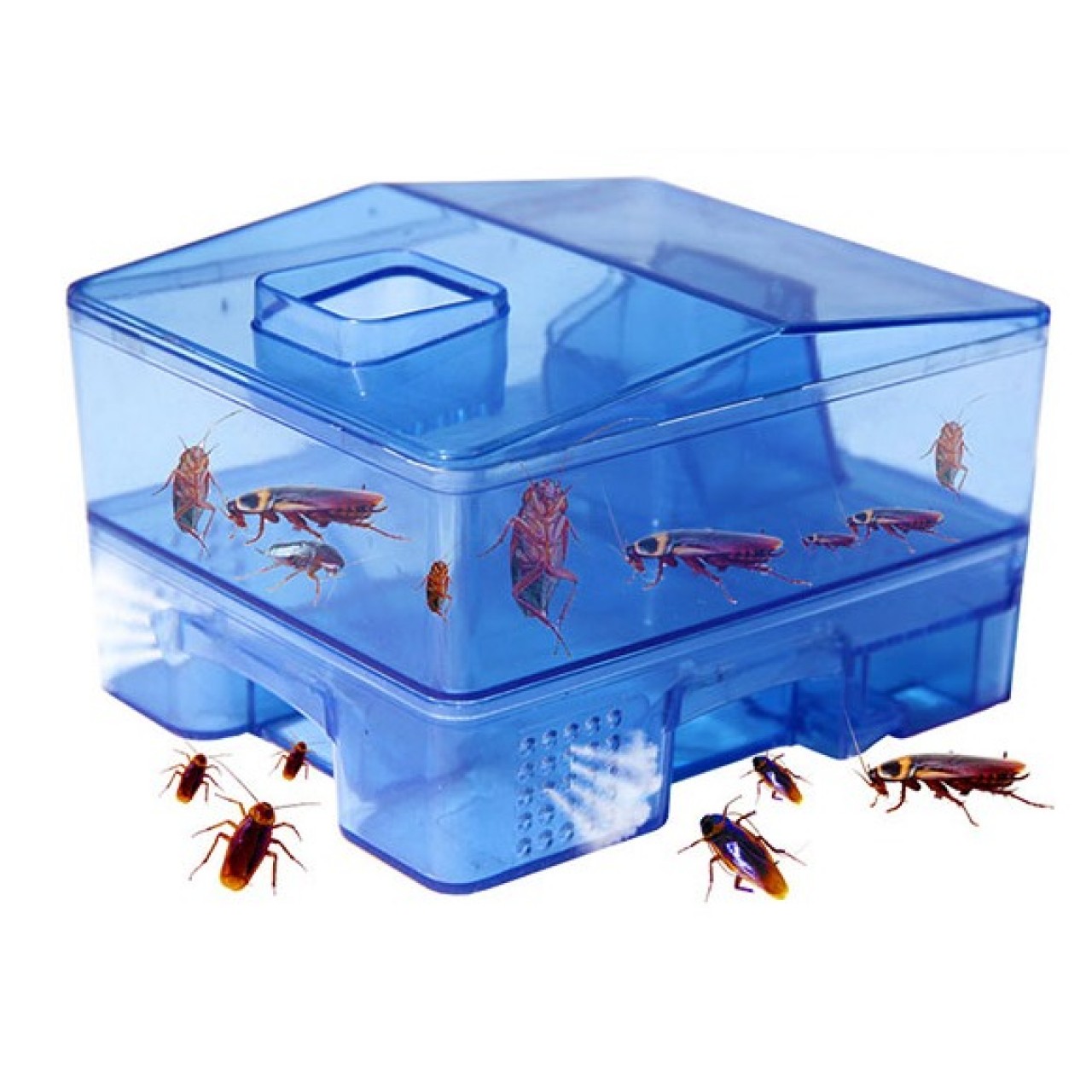 Insect Killer Trap Box For Catching Bugs