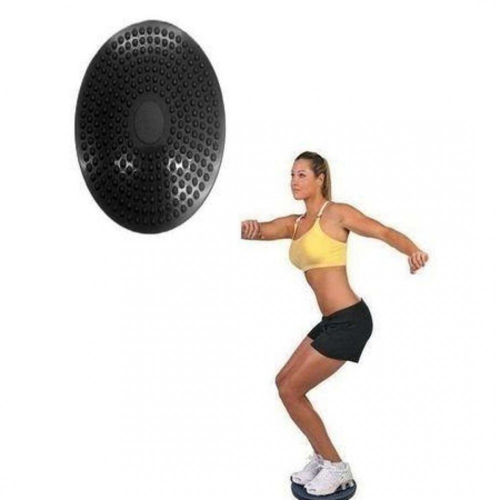 Waist Trimmer Twister Disc