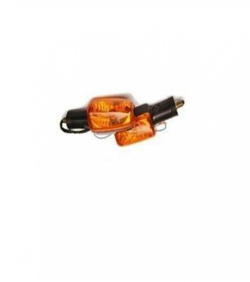 Bike Indicators Pair