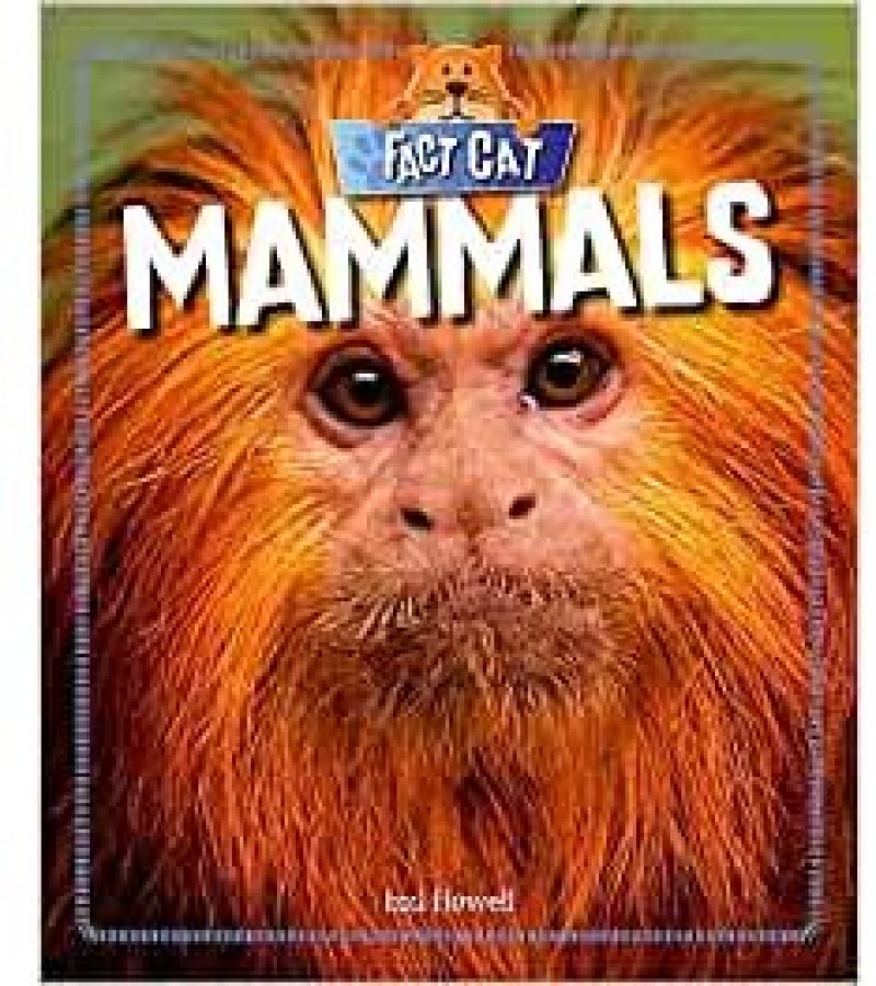 Mammals Fact Cat Animals