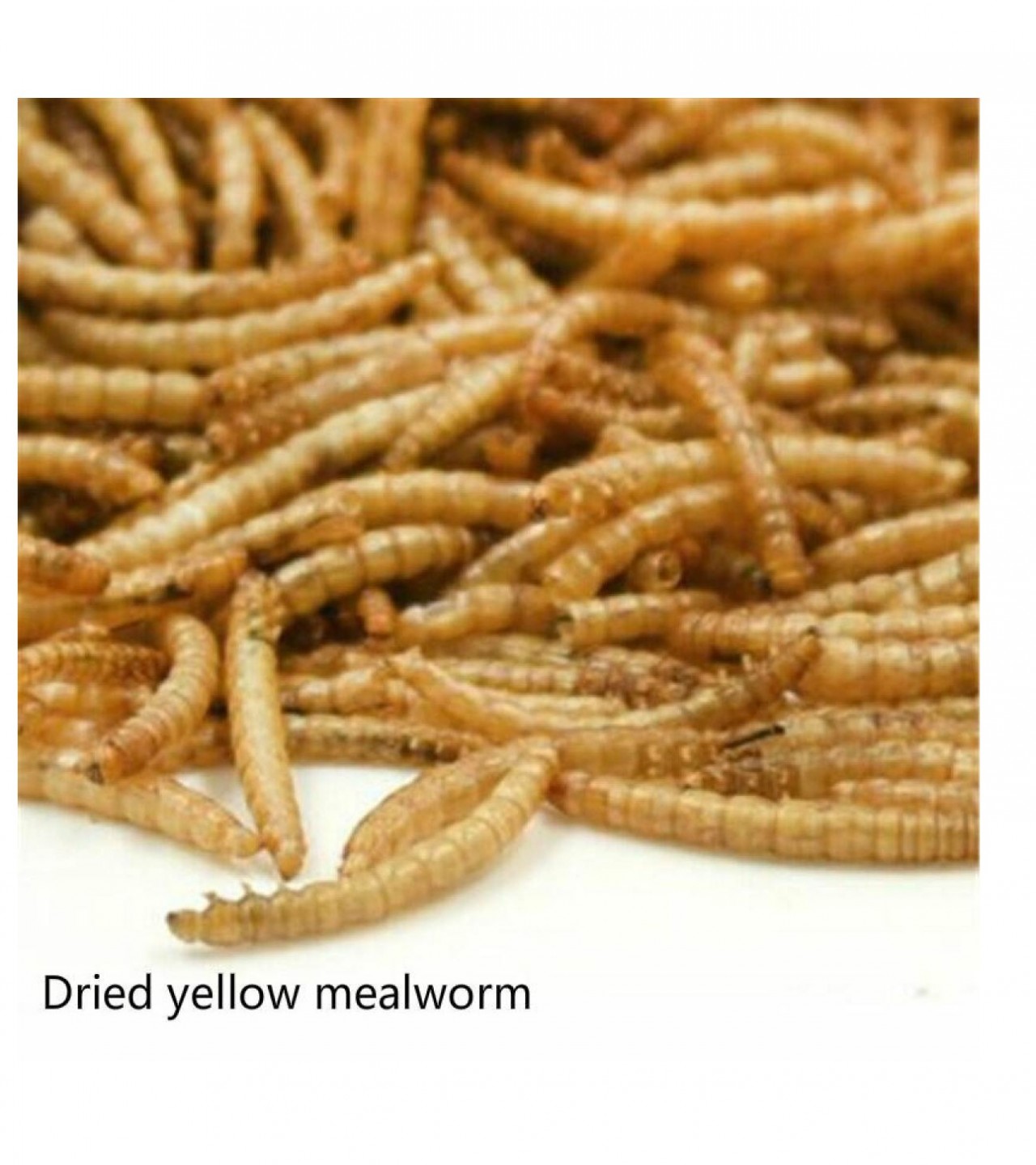 50g Freeze-dried Calci Pro Mealworm Food Nutritious Protein Accessories Pet Turtles Tropical