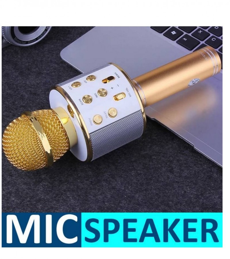 WS858 Mic for Kids Microphone Loud Speaker for Speech with Echo
