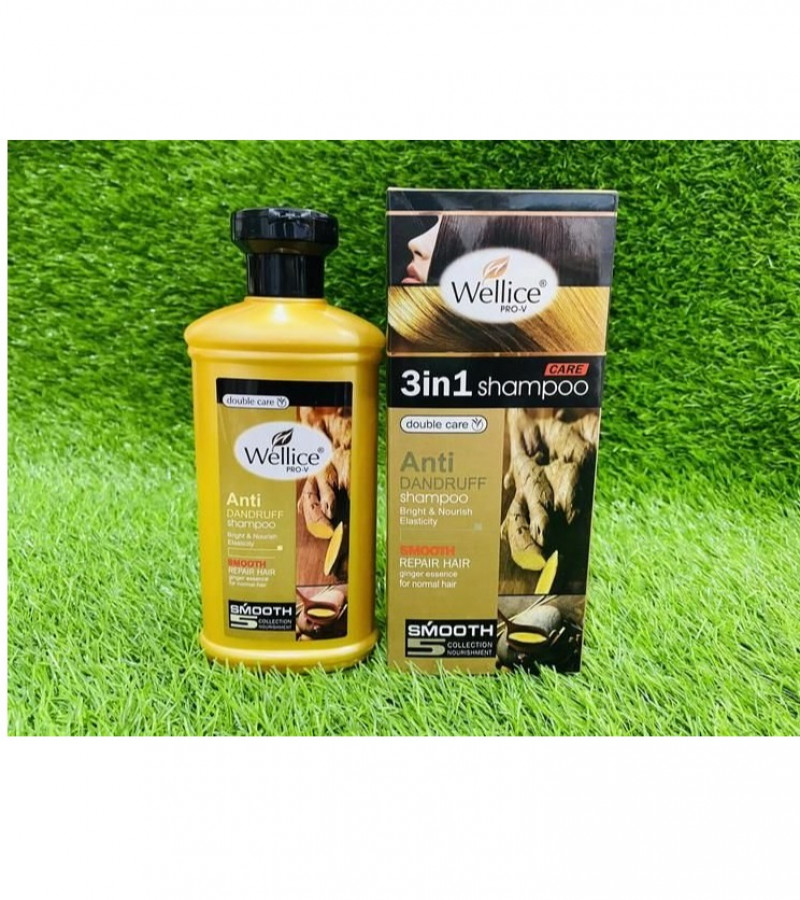 Wellice PRO-V 3 in 1 Ginger essence for normal hair Shampoo 400 ml
